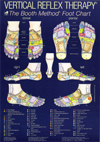 Deze Verticale Reflex Therapie (VRT) grafiek is beschermd en bezit een copyright. An-Shendao heeft toestemming om deze te plaatsen van BOOTH VRT Ltd (<a href=